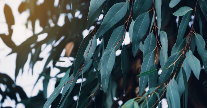 Psychological Assessment