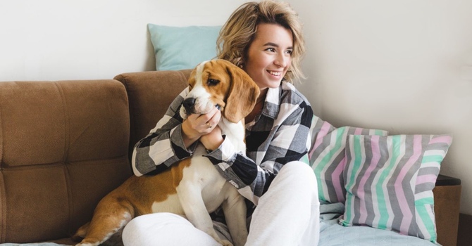 Individual Counselling